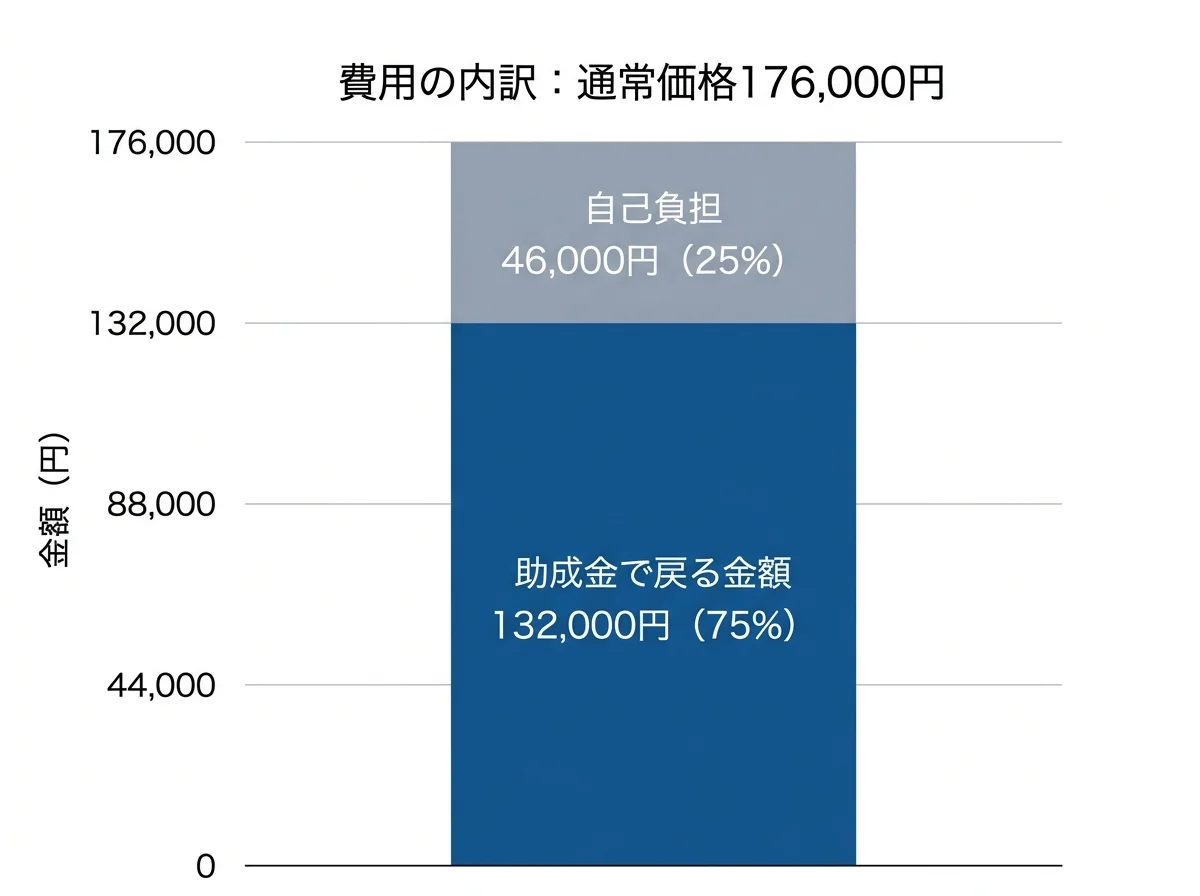 [グラフ] 通常価格176,000円のうち、助成金で戻る金額132,000円（75%）と自己負担46,000円（25%）の内訳を示す棒グラフ